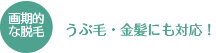 画期的な脱毛　うぶ毛・金髪にも対応！